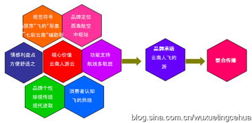 彩云之翼，文化為帆——東方航空云南市場品牌營銷策劃紀實